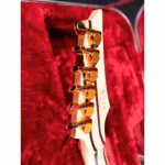 Ibanez RGRAMG50TH RBB