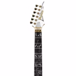 banez JEM7VP – Steve Vai Signature Premium Electric Guitar