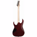 Ibanez RGR221PA-AQB