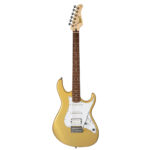 Cort Guitar G250