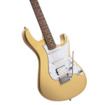 Cort Guitar G250