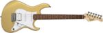 Cort Guitar G250