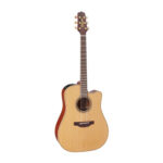 Takamine Guitar P3DC (Pro Series)