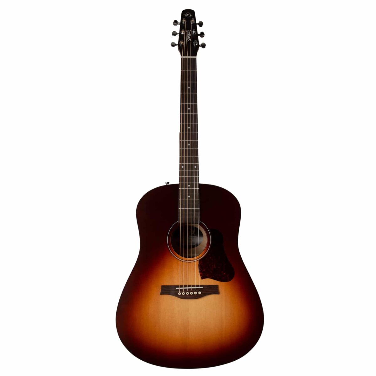 Seagull Entourage Guitar