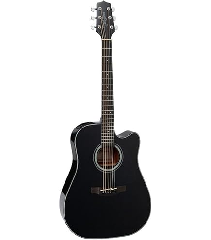 Takamine Guitar GD30