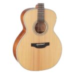Takamine Guitar GN20