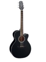 Takamine Guitar GN30