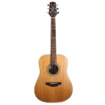 Takamine Guitar GD20