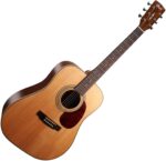 Cort Earth 70