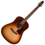 Seagull Entourage Guitar