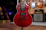 ESP LTD EC-401