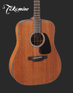 Takamine Guitar GD11M