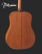 Takamine Guitar GD11M