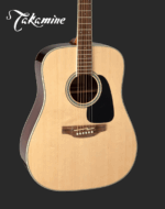 Takamine Guitar GD51