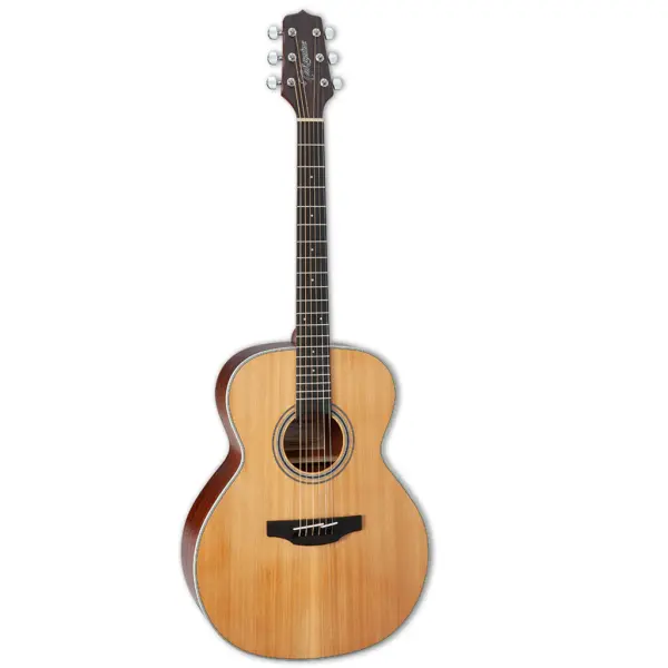 Takamine Guitar GN20
