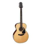 Takamine Guitar GN30