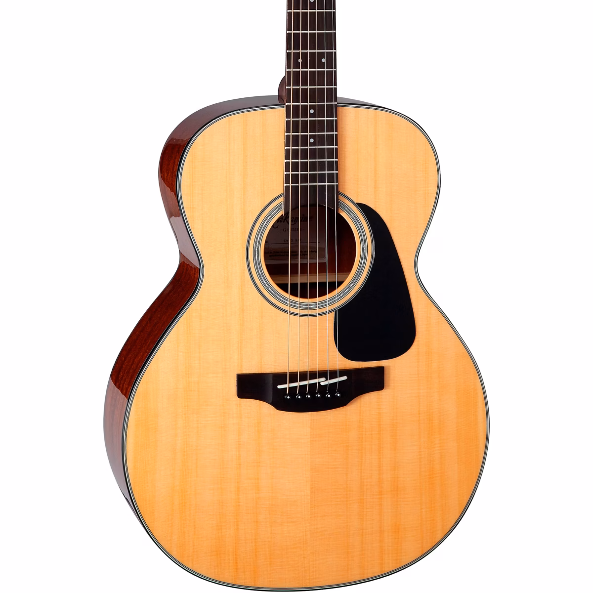 Takamine Guitar GN30