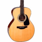 Takamine Guitar GN30