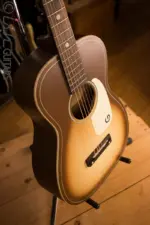 Gretsch Guitar Jim Dandy G9520
