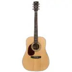 Cort Earth 70