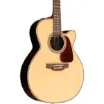 Takamine Guitar P5DC (Pro Series)