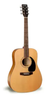 Simon & Patrick Woodland Guitar