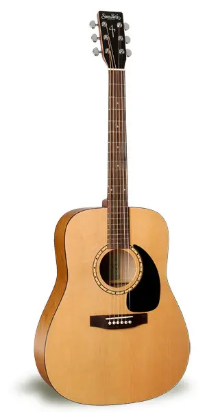 Simon & Patrick Woodland Guitar