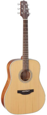 Takamine Guitar GD20