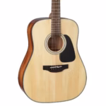 Takamine Guitar GD30