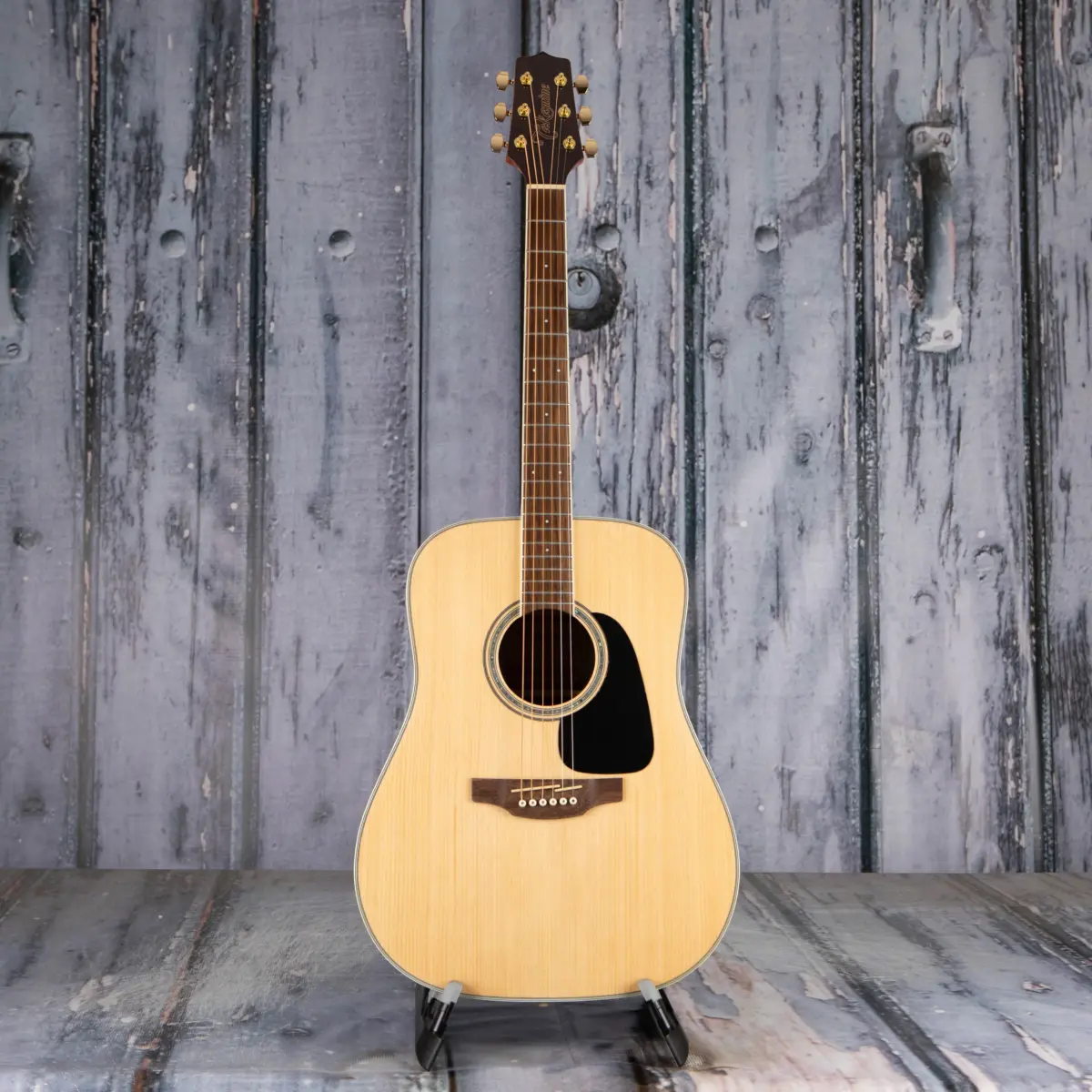 Takamine Guitar GD51