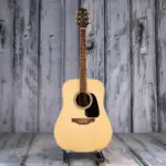 Takamine Guitar GD51