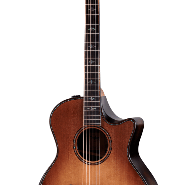 Taylor Guitar 914ce
