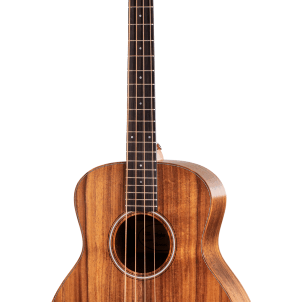 Taylor Guitar GS Mini-e Koa