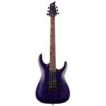 ESP LTD H-200