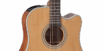 Takamine Guitar GD20