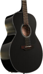 Takamine Guitar GN30