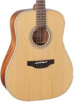 Takamine Guitar GD20
