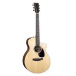 Martin Guitar SC-10E