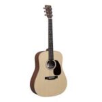 Martin Guitar D-X1E