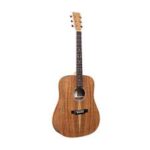 Martin Guitar D-X1E