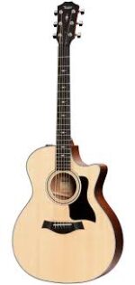 Taylor Guitar 314ce
