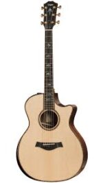 Taylor Guitar 914ce