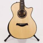 Taylor Guitar 914ce