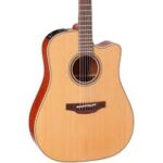 Takamine Guitar P3DC (Pro Series)