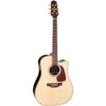 Takamine Guitar P5DC (Pro Series)
