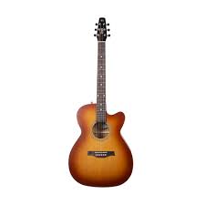 Seagull Entourage Guitar