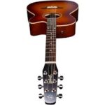 Seagull Entourage Guitar