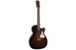 Art & Lutherie Legacy Series Acoustic Guitars