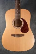 Simon & Patrick Woodland Guitar
