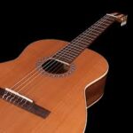 Godin La Patrie Concert